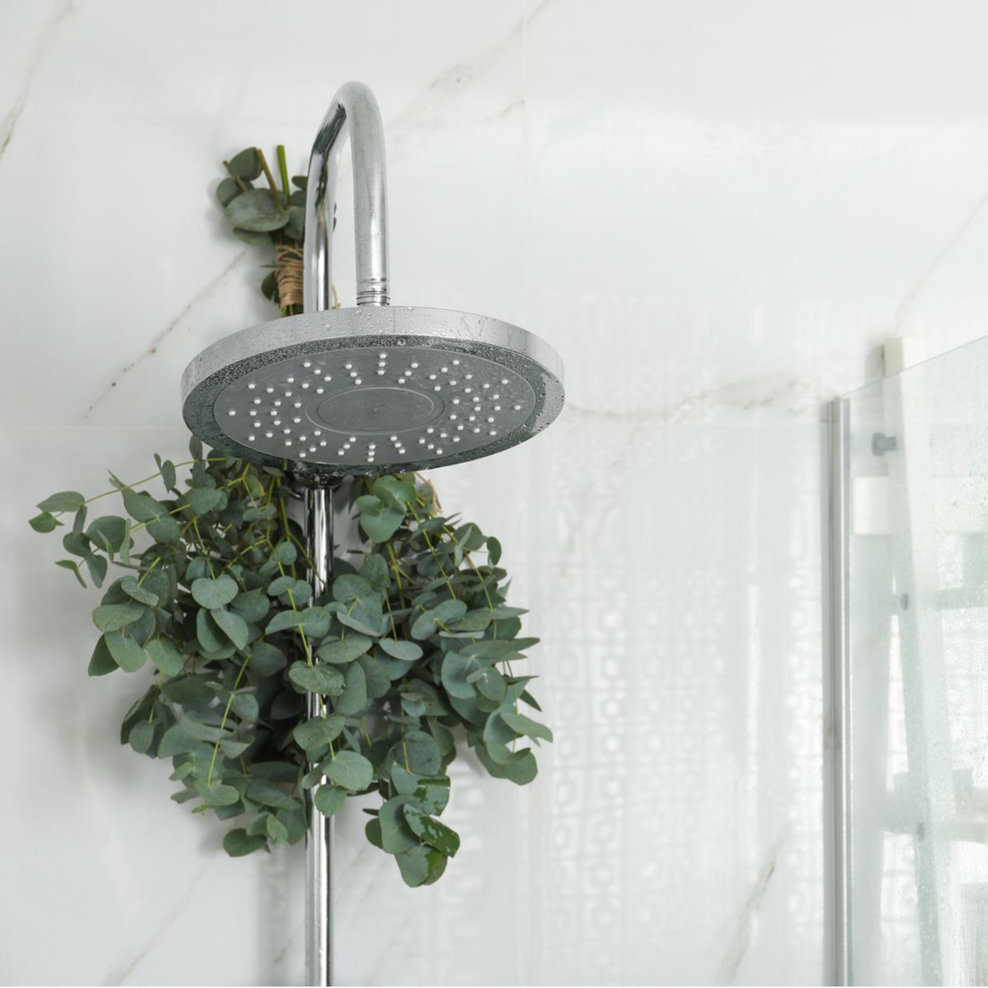 The Science of Eucalyptus: How It Stimulates Hair Follicles Without Drying Fine Hair